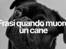 frasi quando muore un cane