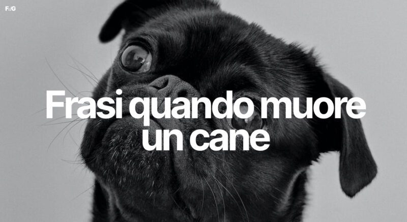 frasi quando muore un cane