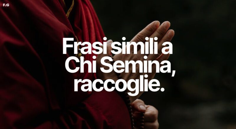 chi semina raccoglie