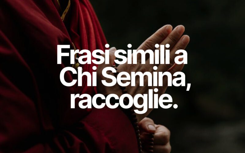 chi semina raccoglie